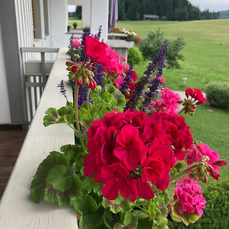 Apartamento Wald & Wiesen Kurzemann - Nahe Bodensee Sigmarszell